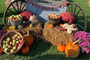 Jacksonville Fall Events