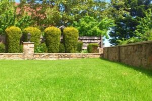FALL LAWN CARE