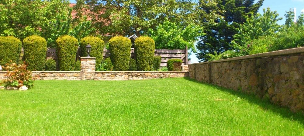 FALL LAWN CARE